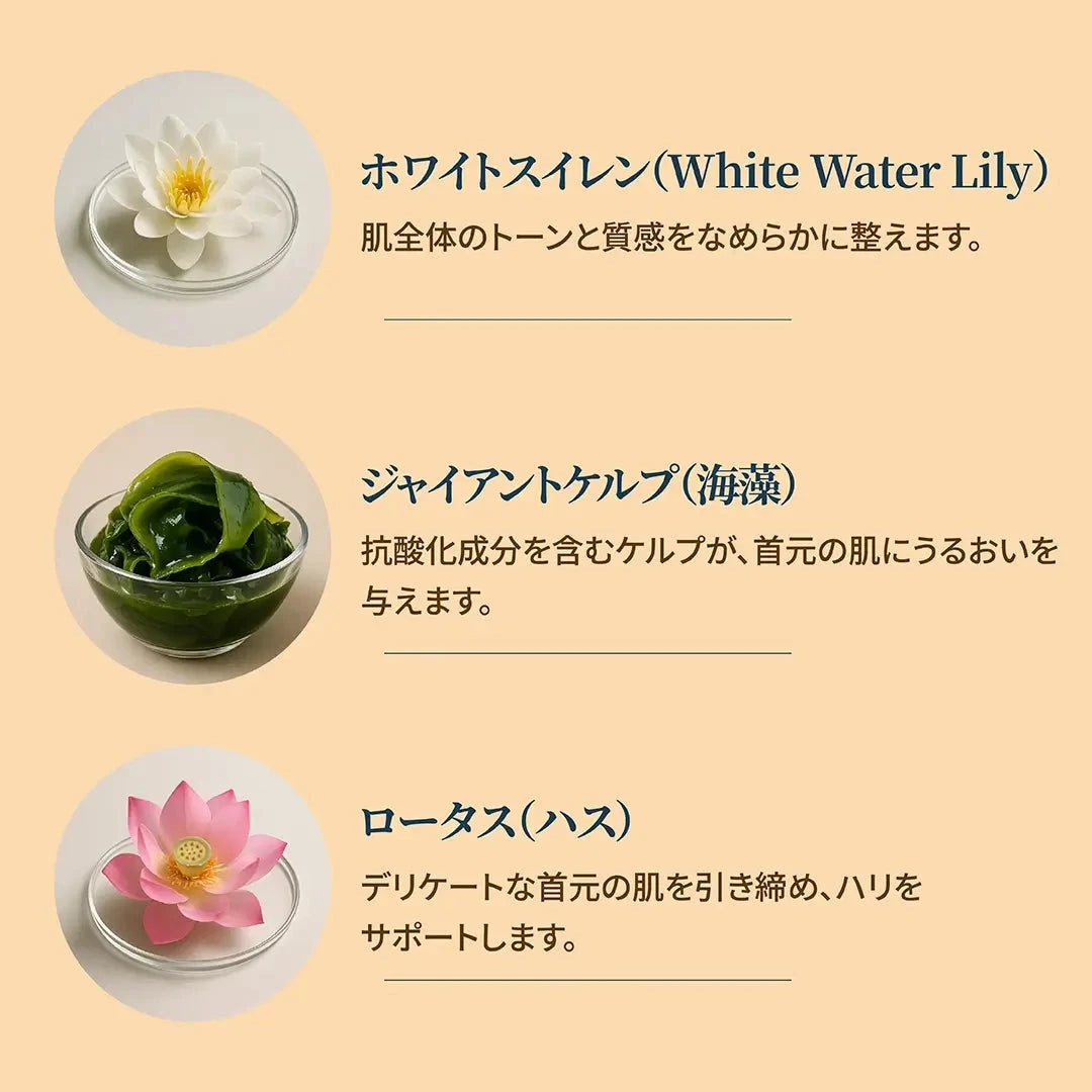 A Modernica Naturalis FIRM FOCUS ネックマスク Neck Mask A Modernica Naturalis 