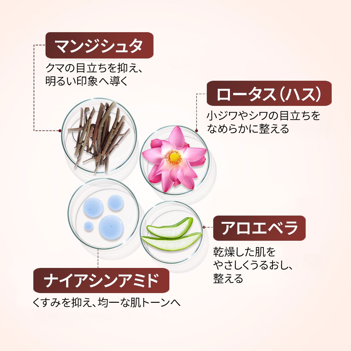 A Modernica Naturalis RUFOLIAプロ ペリオービタル アイミュルジョン（アイコントゥアクリーム） Eye Cream A Modernica Naturalis 