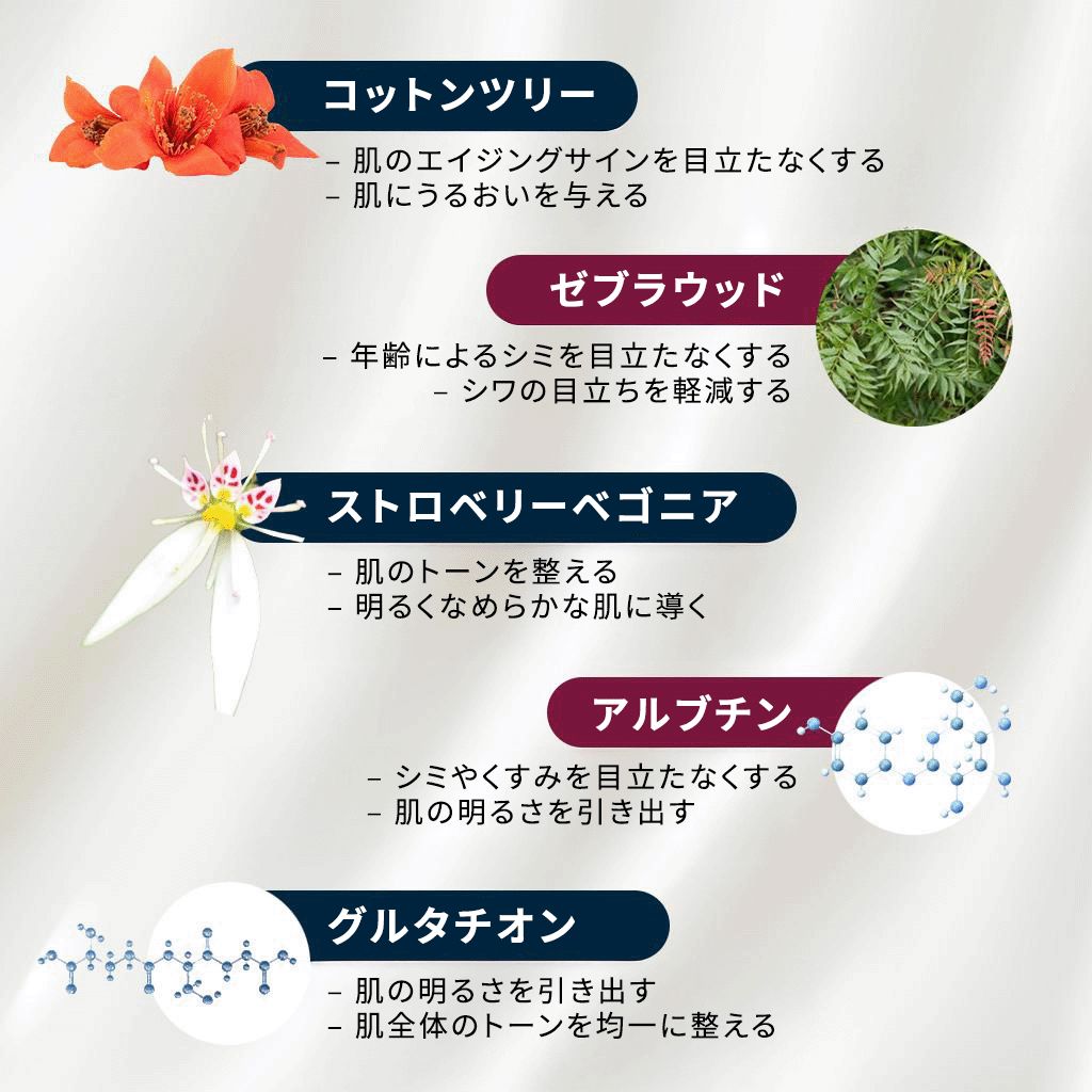 A Modernica Naturalis ファームフォーカスフェイスセラム Face serum A Modernica Naturalis 