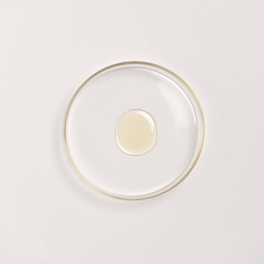 The Ayurveda Experience Black Gram Edit - Face and Body Trio with the Power of Black Gram Skin Care A. Modernica Naturalis 